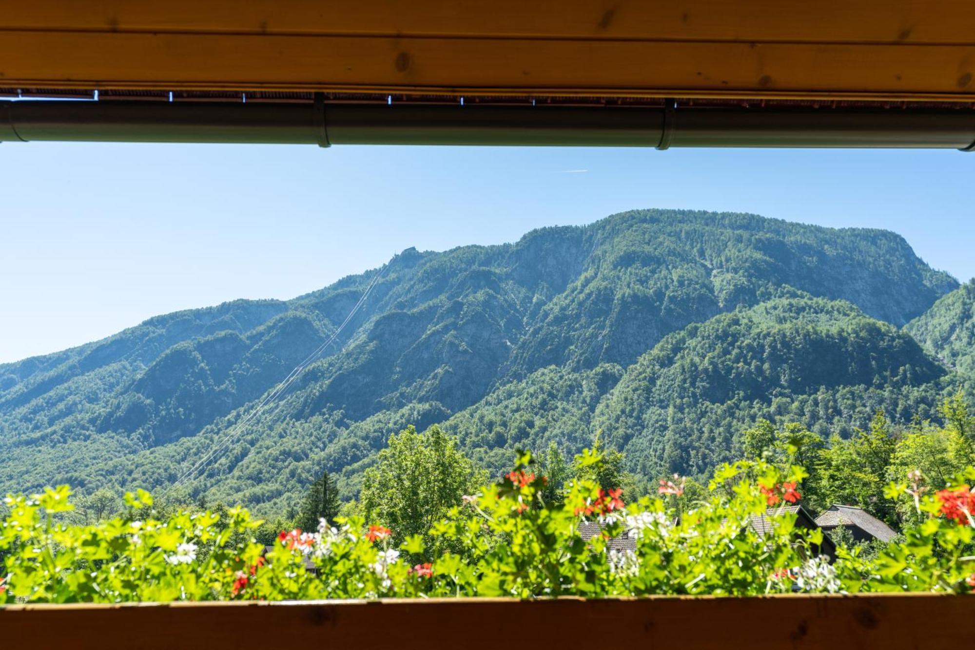 Alpik Chalets - Bohinj Rom bilde